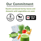 Yamamoto Kanpoh YAMAKAN Natural Digestive Enzymes with Prebiotic Powder, 12 Mixed Vitamins & Super Greens Powder Blend, Barley Grass Juice Superfood for Gut Health from Japan, 32 Packets