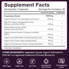 Menopause Supplements for 45+ Women | Hot Flash, Night Sweat & Mood Swing Relief | Ayurvedic Herbal Blend with Shatavari, Ashwagandha, Black Cohosh | Eases Dryness & Boosts Libido | 60 Capsules