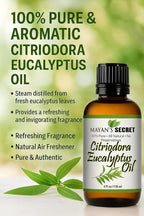 Pure Carrier and Essential Oils for Skin Care, Hair, Body Moisturizer for Face-Anti Aging Skin Care (Citriodora Eucalyptus Oil, 4oz)