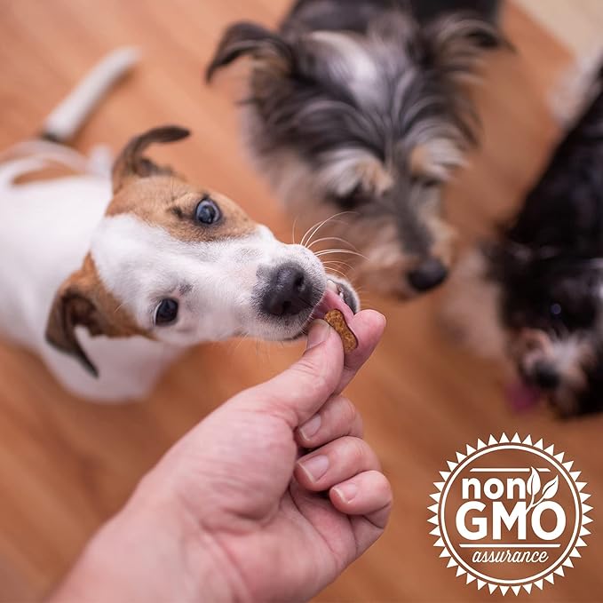 The Missing Link Collagen Care Hip & Joint Soft Chews 60ct - Daily Mobility & Anti-Inflammatory Support for Dogs