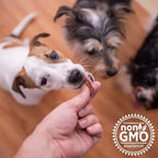The Missing Link Collagen Care Hip & Joint Soft Chews 60ct - Daily Mobility & Anti-Inflammatory Support for Dogs