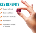FORCE FACTOR Happy Mood, Mood Support and Mood Balance Supplement to Support Happiness, Positivity, and Stress, Made with Magnesium, Saffron, Zembrin, Non-GMO, Tropical Fruit Flavor, 30 Soft Chews