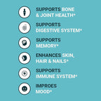 Zammex Bone Broth Protein Powder, Pure Grass Fed Beef, Vanilla Protein Powder,Hydrolyzed Collagen Supplement for Healthy Skin,Nails,Hair,Joints, Non-GMO,Gluten Free, Great in Shakes