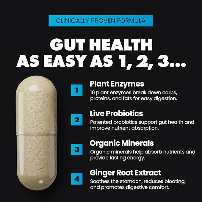 Gains in Bulk Total Digest, Digestive Enzymes, Prebiotics and Probiotics for Digestive Health, Bloating Support, Gut Health for Women and Men, Promotes Protein, Carb and Fat Digestion, 90 Capsules