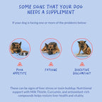 Milk Thistle for Dogs - 90 Soft Chews - Liver and Kidney Support - Hepatic Support with EPA & DHA - Detox - Liver Supplement for Dogs with Choline and L-Arginine.