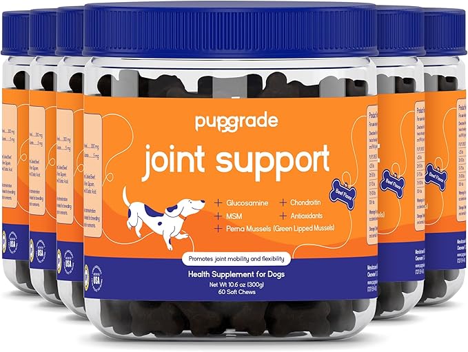 PupGrade Joint Support Supplement for Dogs - Glucosamine + Chondroitin with MSM and Perna - Supports Normal Hip & Joint Health for Occasional Discomfort, Beef Flavor - 360 Soft Chews