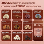 Lions Mane Mushroom Gummies for Adults, 4000mg Mushroom Extract & 250mg Ashwagandha, Cognitive Support, Mood, Brain Health & Memory, Energy, Reishi, Cordyceps, Turkey Tail, Chaga, Vegan, 120 Count