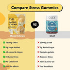 PYM Citrus Mood Chews Support for Stress, Worry & Overwhelm, 60 Count | 130mg GABA, 90mg L-Theanine | Vegan,Non-GMO, Gluten-Free,No Added Sugar | All-Natural Mood Balance Supplement in Resealable Bag