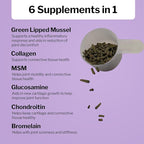 Formula 707 Joint 6in1 Equine Supplement 10 lb Bag – Support for Joint Integrity and Inflammatory Response in Horses – Green-Lipped Mussel, MSM, Glucosamine, Chondroitin & Collagen
