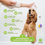 King Kanine Mushroom Plus, Protein & Joints 2 oz | Organic Powder to Improve Optimal Health & Pets Wellness | Supplement for Dogs & Cats Care Made with Fiber & Vitamins | Veterinarian Approved