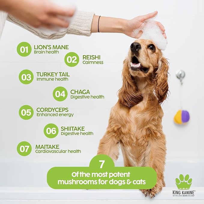 King Kanine Mushroom Plus, Protein & Joints 2 oz | Organic Powder to Improve Optimal Health & Pets Wellness | Supplement for Dogs & Cats Care Made with Fiber & Vitamins | Veterinarian Approved