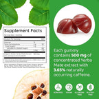 HOLYMARY Yerba Mate Gummies, Quince - Made with Organic, Unroasted Yerba Mate. Free from Added Caffeine. Vegan, Non-GMO, Gluten-Free, Kosher. 50 Delicious Supplement Gummies
