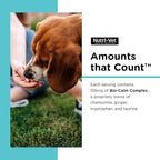 Nutri-Vet Pet-Ease Soft Chews for Dogs, Vet Formulated with Chamomile & Tryptophan to Soothe and Calm During Storms, Separation Anxiety, and Loud Noises, Dog Calming Supplement, 6.0 oz