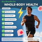 Totaria 2 Packs Sugar Free Multivitamin for Men with Omega 3, Probiotics, Mens Multivitamins Gummies w/Methylated B Complex, BCAA, Lycopene, Zinc, for Daily Energy, Immune, Heart, Iron Free