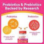 SmartyPants Kids Probiotic & Prebiotic Gummies for Digestive Health: Gut Health Supplement,Clinically Studied Prebiotic for Immune Support,Grape,(30 Day Supply),60 Count (Pack of 2)