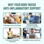 Anti Inflammatory Tea – Black Pepper Turmeric Ginger Cinnamon Tea Bags for Joint Support, Digestion & Immune Wellness, 100% Organic & No Sugar, No Caffeine Natural Anti Inflammatory Herbal Tea 60 Bags