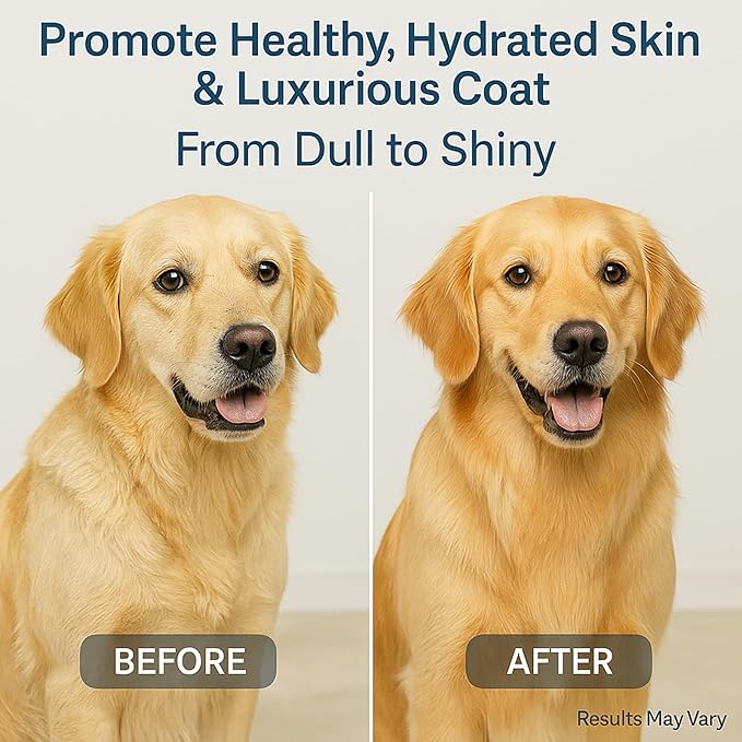 Premium Liquid Collagen for Dogs - Skin & Coat Supplement with Hyaluronic Acid & Biotin, Supports Joint Health, Mobility & Hydration for All Dogs, Bacon Flavor - 2 fl oz (3)