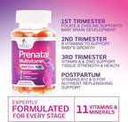 Prenatal Vitamins for Women - Pregnancy Vitamins Gummies with Folic Acid, Vitamin A, C, D3, B12, B6 - Prenatal Multivitamin Gummy for for Fetal Support, Pregnant & Nursing Women - 60 Gummies