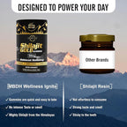 Pure Himalayan Shilajit Gummies – 75%+ Fulvic Acid, High Potency Gold Grade – Blend for Energy, Vitality & Immune Support, Travel - Friendly, Tamarind Flavor – 60 Gummies