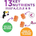 Multivitamin for Kids - Complete Daily Children's Multi Vitamin Gummy Chew with Vitamin D, B Vitamins, Zinc & More - Energy, Memory Focus & Immune Health Support - Natural Berry Flavor - 120 Gummies