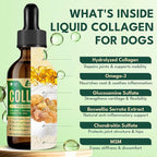 Liquid Collagen for Dogs, Natural Dog Collagen for Skin & Coat Support, Immune Support, Joint & Mobility Care with MSM, Middle-Aged and Older Dogs (Bacon Flavor - 60ml)