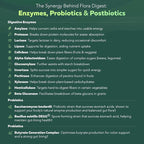 Flora Digest - 3-in-1 Max Strength Digestive Enzymes + Gut Surviving Probiotics & ButyraGen® Postbiotic for Optimal Digestion, Bloating Relief, Regularity, Gut Lining & Colon Support - (60 Capsules)