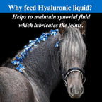 SU-PER Hyaluronic Joint Supplement for Horses - Supports Joints Health & Lubrication - Horse Hyaluronic Acid Liquid - 1 Quart