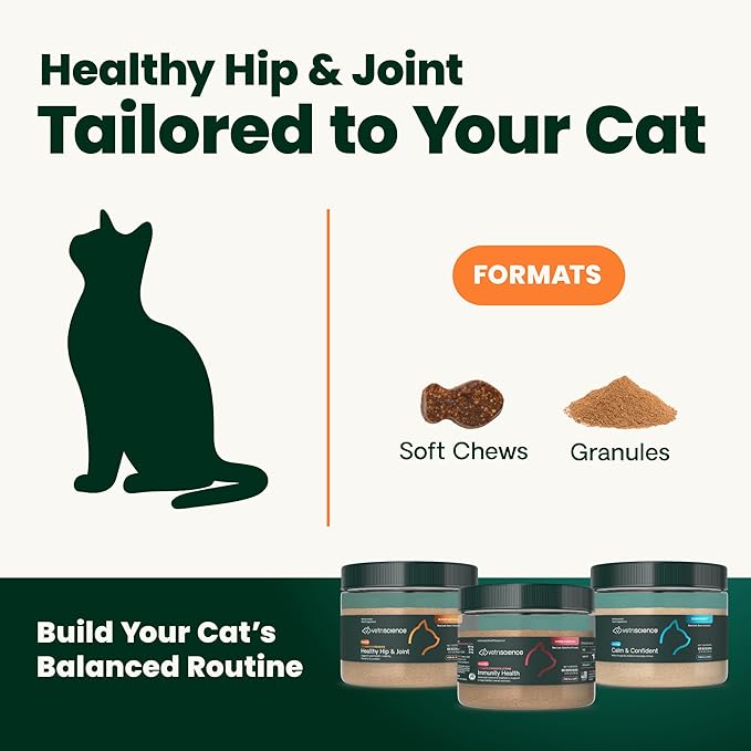 VetriScience Ultimate Strength Healthy Hip & Joint Powder, GlycoFlex Glucosamine, Chondroitin and Green Lipped Mussels Joint Supplement for Cats, Cheese & Chicken, 60 Scoops