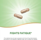 Nature's Way Asian Ginseng, Fights Fatigue*, 1,120mg Per 2-capsule Serving, Non-GMO Project Verified, Vegan, 50 Capsules (Packaging May Vary)