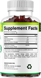 Vitamatic Rhodiola Rosea Gummies – Sugar-Free Plant-Based Extract – Mixed Berry Flavor – Vegan, Non-GMO – Adaptogen Supplement Gummies – 60 Count