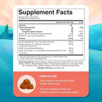 Kids Focus Gummies - Nootropics Brain Support Supplement for Kids with Green Tea Extract, B6 & B12 Vitamins for Memory and Brain Focus - Herbal Concentration Chews for Children - 90 Count
