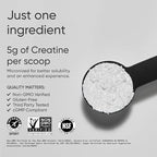 Sports Research Creatine Monohydrate - Gain Lean Muscle, Improve Performance and Strength and Support Workout Recovery - 5 g Micronized Creatine - 35.27 oz