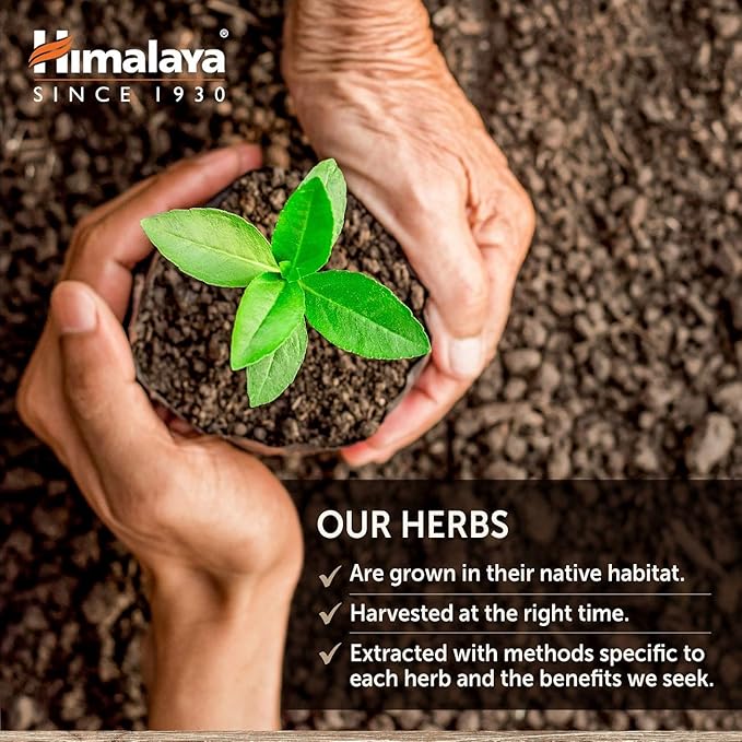 Himalaya UriCare – Herbal Kidney & Bladder Support with Shilajeet, Didymocarpus & Pasanabheda – Promotes Urinary Tract Health & Comfortable Urine Flow – Non-GMO, Gluten-Free, Vegetarian – 120 Capsules
