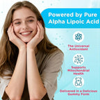 MEENCCD Alpha Lipoic Acid Gummies 600mg - ALA Supplement for Antioxidant Support, Vegan, Sugar-Free, Raspberry Flavor, 60 Count