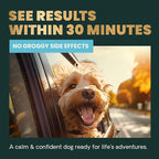 VetriScience Calm & Confident Chews, Composure Clinically Tested Calming & Anxiety Supplement for Dogs, Reduce Stress and Fear, Ideal for Thunderstorms, Fireworks & Travel 120 Count (Pack of 2)
