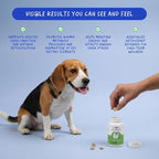 Milk Thistle for Dogs - 120 Chewable Tablets - Silymarin - Liver and Kidney Support with EPA & DHA - Detox - Liver Supplement for Dogs with Choline and L-Arginine (Milk Thistle Tablet)