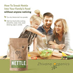 Nettle Tea Organic (100 Tea Bags) - Stinging Nettle Leaf TeaBags (Urtica Dioica) - Te de Ortiga Verde Organica - Support Digestion, Fluid Balance, Kidney, Skin, Hair