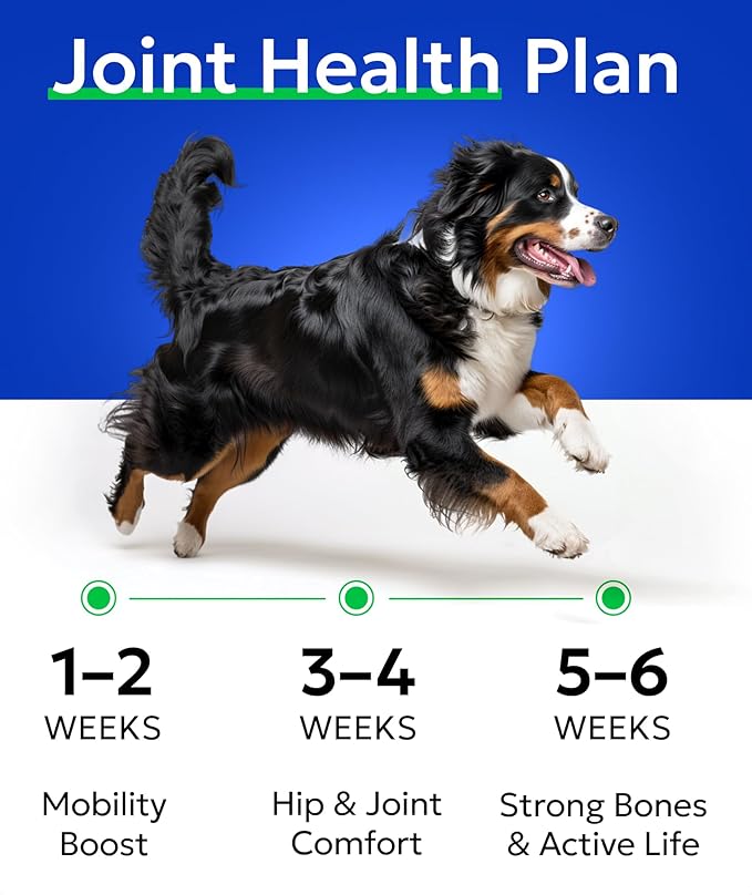 BARK&SPARK Senior Advanced Glucosamine Chondroitin for Dogs - Hip Joint Pain Relief - Old Dog Joint Chews Large & Small Breed - Hip Joint Chews Joint Health Care Treats - 240Ct