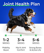 BARK&SPARK Senior Advanced Glucosamine Chondroitin for Dogs - Hip Joint Pain Relief - Old Dog Joint Chews Large & Small Breed - Hip Joint Chews Joint Health Care Treats - 240Ct