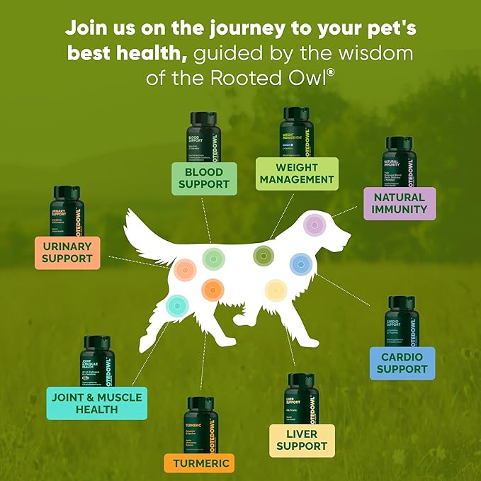 Rooted Owl Cardio Support - L-Taurine and L-Carnitine Supplement for Dogs - Cardiovascular and Heart Health Supplements for Dogs - 60/ct