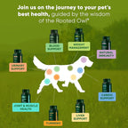 Rooted Owl Joint and Muscle Support for Large Dogs (Over 30 Lbs) - Supplement with UC-II Type II Collagen and L-Carnitine - 30 Count
