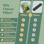 Pillar AM/PM Pill Box Organizer Two Times a Day | Aesthetic 7 Day Tablet Organizer 2 Times A Day | Beautiful Weekly Pill Box for Day and Night Medication (Powder Blue)