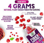 Fiber Gummies 4g Per Serving - Sugar Free Fiber Gummy Supplement for Adults, Daily Prebiotic Gummy Digestive Support - Plant Based Chews, Prebiotics Supports Regularity & Digestion - 120 Gummies