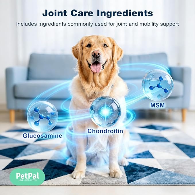 Healthy Dog Treat, Soft Training chew, Support Hip and Joint Health with Glucosamine, Chondroitin Sulfate & MSM, Mobility, Cartilage & Joint Stiffness Relief Supplement, 100 Count