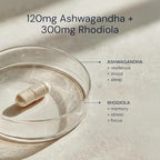 Blueprint Bryan Johnson Ashwagandha & Rhodiola Supplement – 120mg Ashwagandha + Rhodiola Root – Daily Adaptogen Capsules for Stress Support, Mood Balance, Energy & Focus – 30 Vegan Capsules