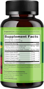 NATURELO Vegan Iron Supplement with Vitamin C and Organic Whole Foods - Gentle Iron Pills for Women & Men with Iron Deficiency Including Pregnancy, Anemia and Vegan Diets - 90 Mini Capsules