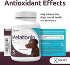 K9 Select Dog Melatonin for Large Dogs - Composure Dog Calming Chews - Canine Melatonin for Sleep - Reduce Stress for Large Canines - 6 mg, 90 Beef Flavored Chewable Tablets