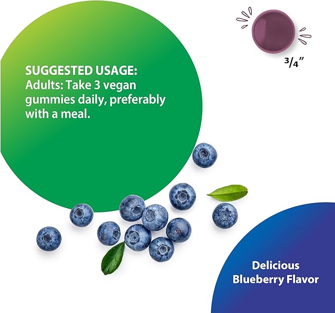 Rainbow Light Mushroom Power Complex Supplement | 60 Gummies | 10 Types of Premium Mushrooms Including Lion's Mane, Poria, Shiitake, Turkey Tail & More | Delicious Blueberry Flavor
