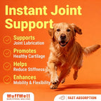 WuffWell Liquid Glucosamine for Dogs Hip & Joint Support with Chondroitin, MSM & Hyaluronic Acid, Dog Joint Supplement for Mobility & Cartilage Health, Easy Pump Dosage, All Breeds, Made in USA, 16oz