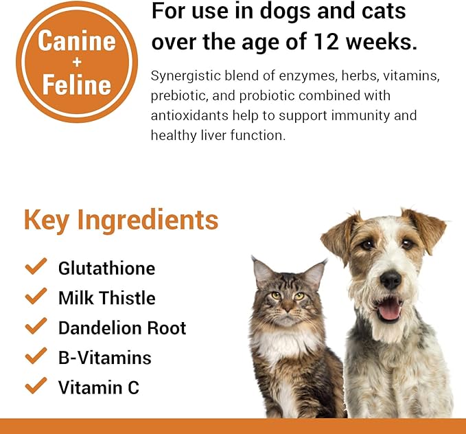 Vet Classics Liver Support Pet Health Supplement for Dogs, Cats – Liver Functions – B-Vitamins, Glutathione, Milk Thistle – Soft Tablets, Chews – 120 Soft Chews